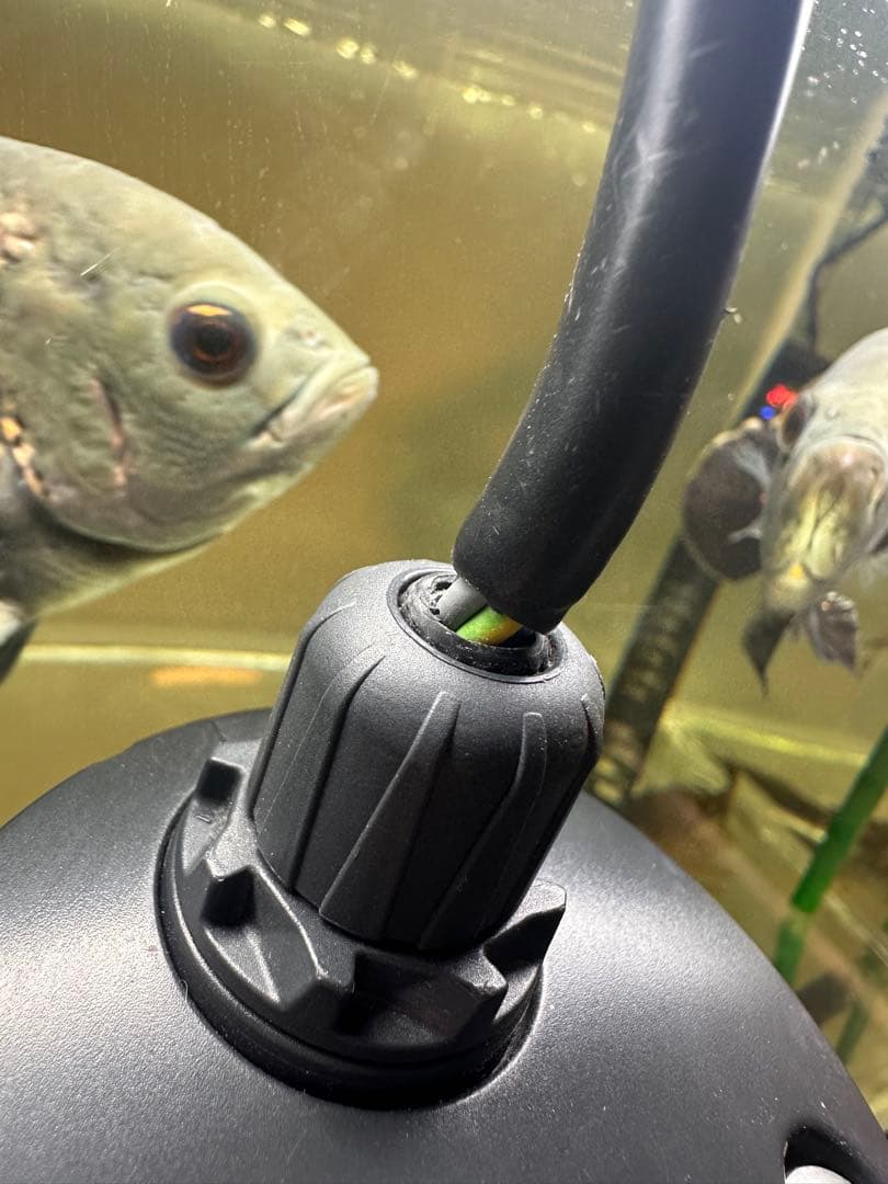 EHEIM 殺菌灯 3721 300 エーハイム UV