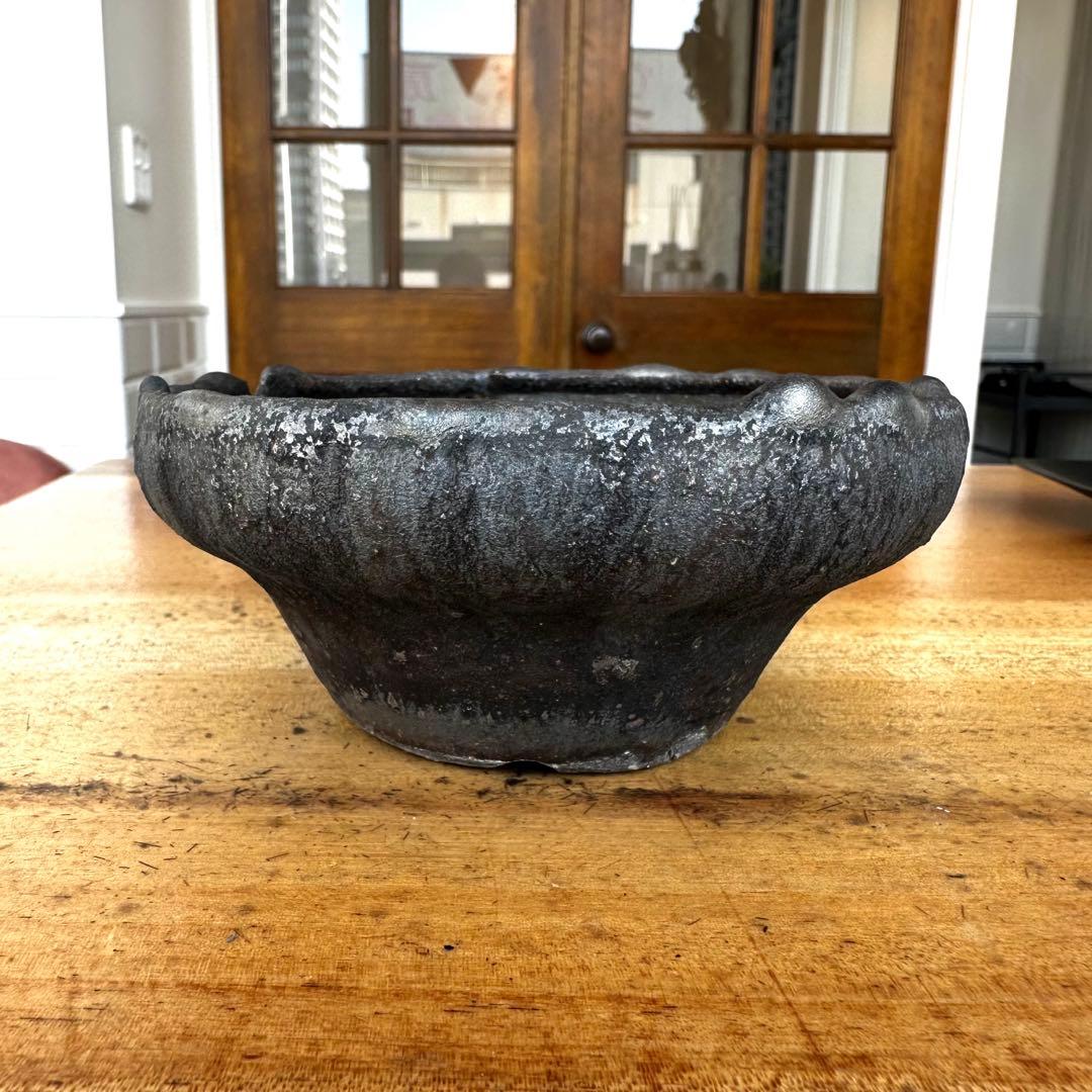 【激レア】　細川政己　鉢　浅鉢　グラキリス