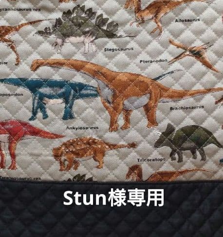 Stun　リアル恐竜柄（グレー）✕黒　絵本バッグ　上履き袋