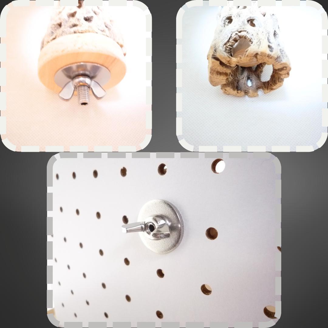 R　止まり木　カクタス　スケルトン　パーチおまとめ5本