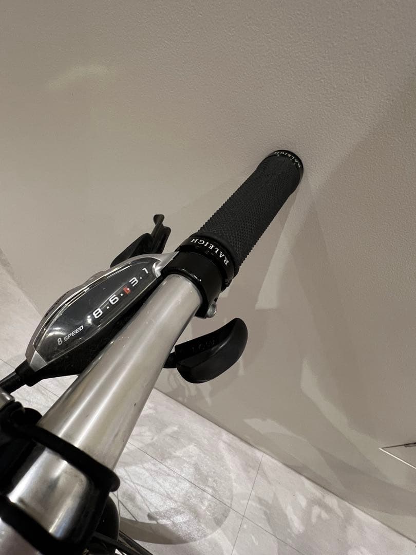 自転車本体 raleigh