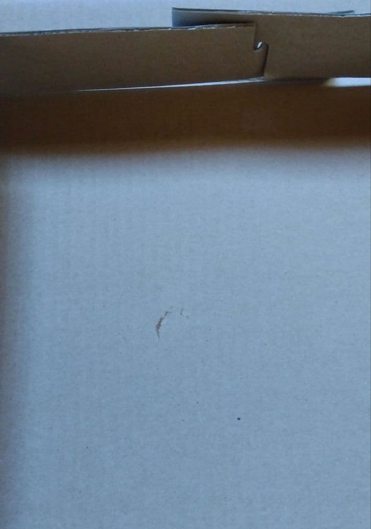 ウェッジウッド　コンランシノワズリ　皿２種