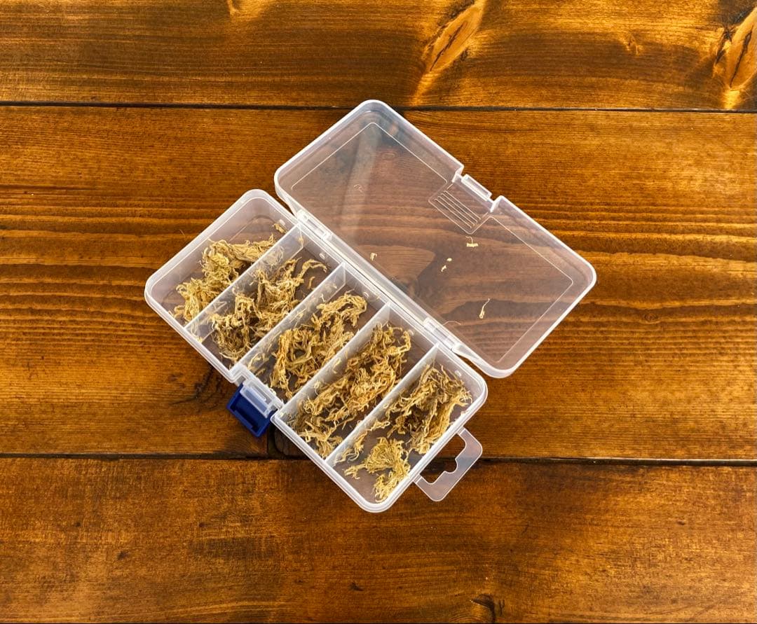 クワガタ採集セット　オリジナルかき出し棒　採集道具　迷彩柄　採集ケース　オレンジ