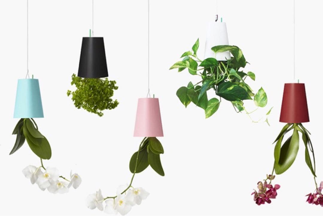 スカイプランター 4個セット