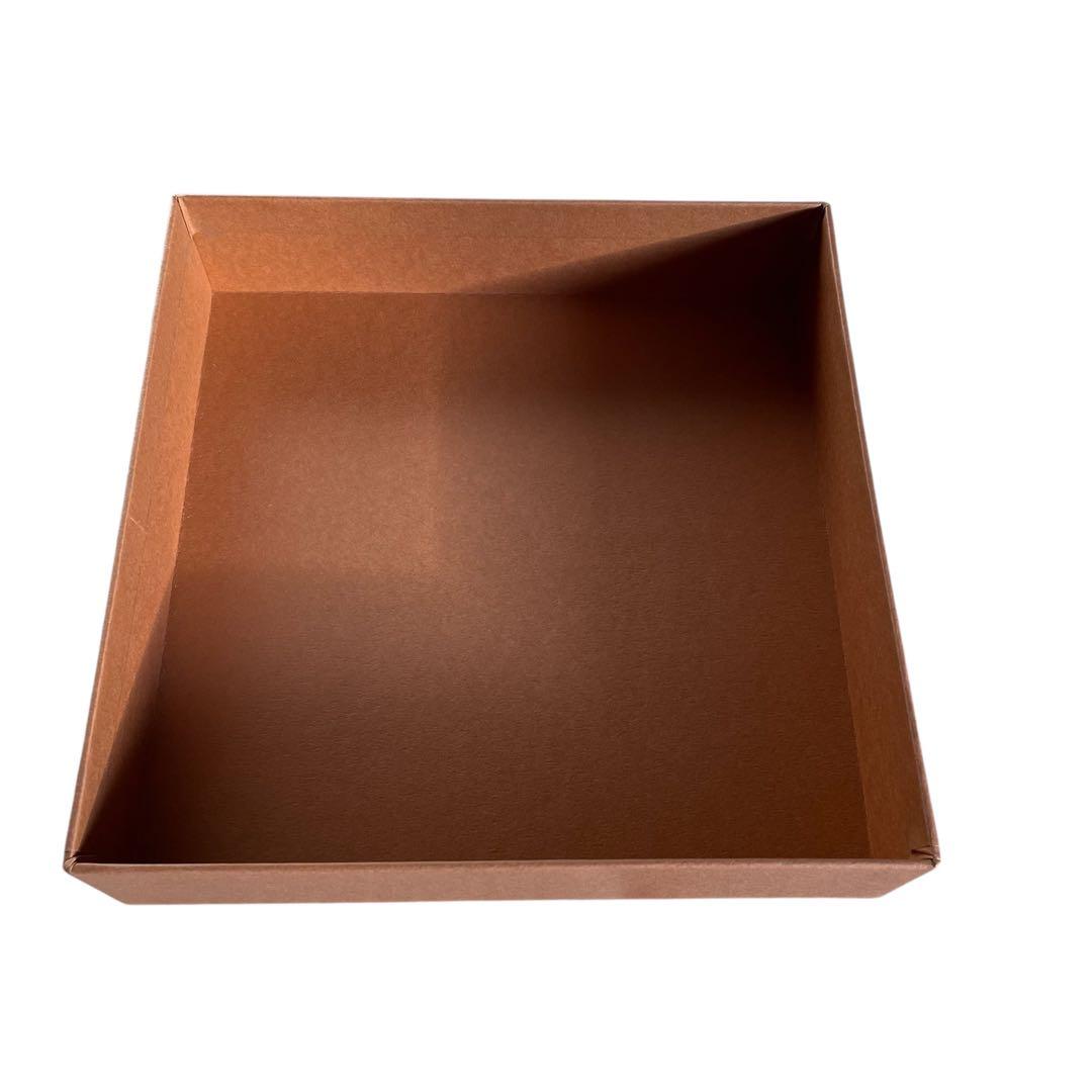 LOUIS VUITTON ルイヴィトン 小物入れ アクセサリーケース タイガ