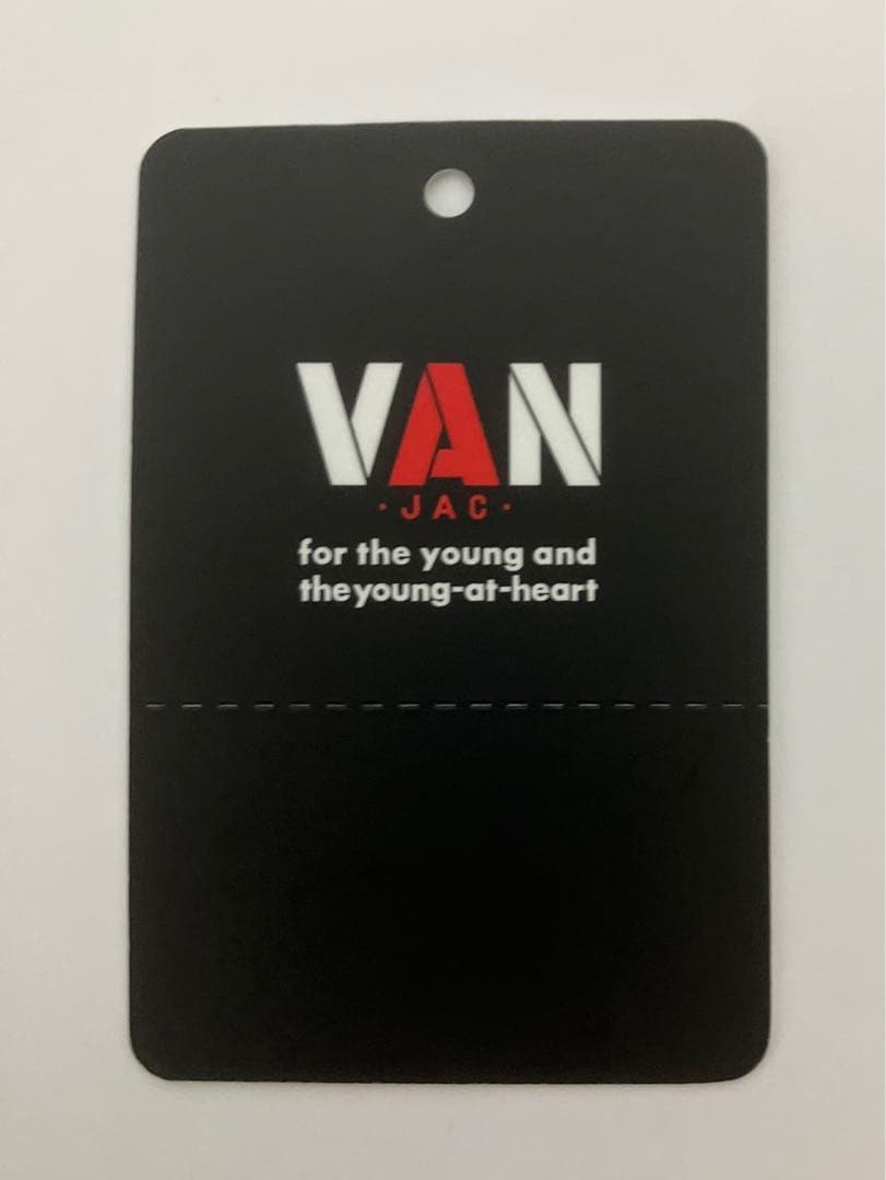 ★VAN JAC ヴァンヂャケット 定番アーチロゴ刺繍 ミニウオレット