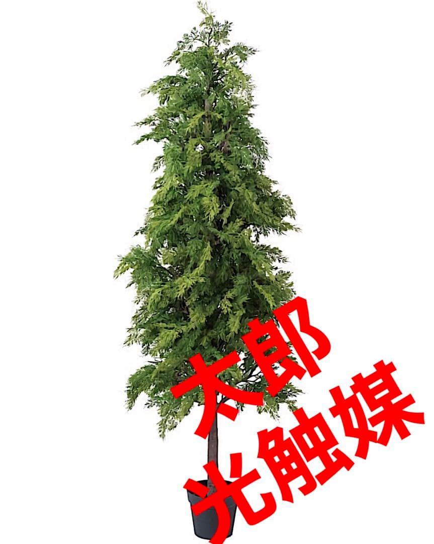 光触媒　人工観葉植物　ウォールグリーン　 フェイクグリーン　ヒバツリー19