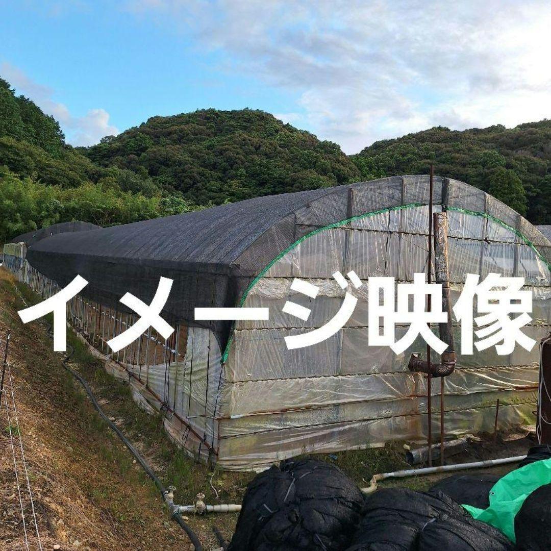 「お値下げ致しました」ビニールハウス用遮光ネット(網タイプ)