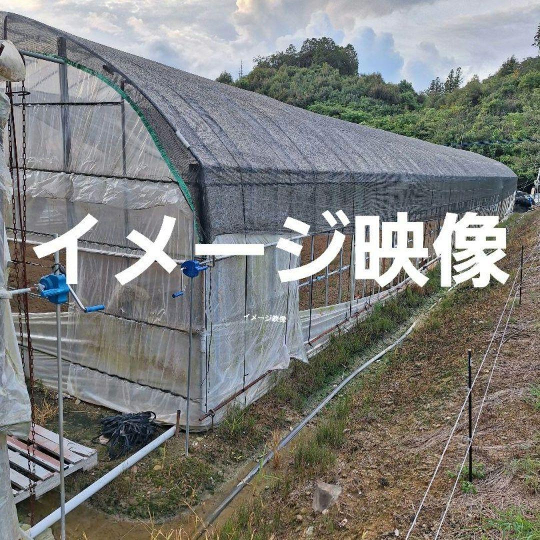 「お値下げ致しました」ビニールハウス用遮光ネット(網タイプ)