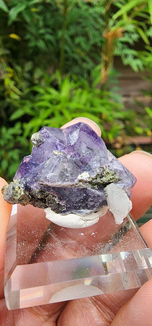 スティブナイトを含むフローライト