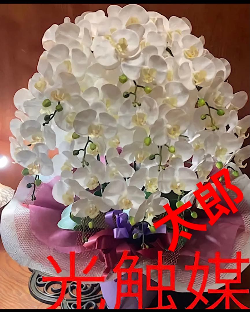 光触媒　人工観葉植物　ウォールグリーン　フェイクグリーン　リアル胡蝶蘭10本