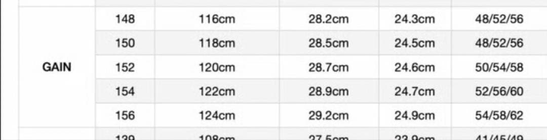 GT BORD 24-25 GAIN 150 板のみ