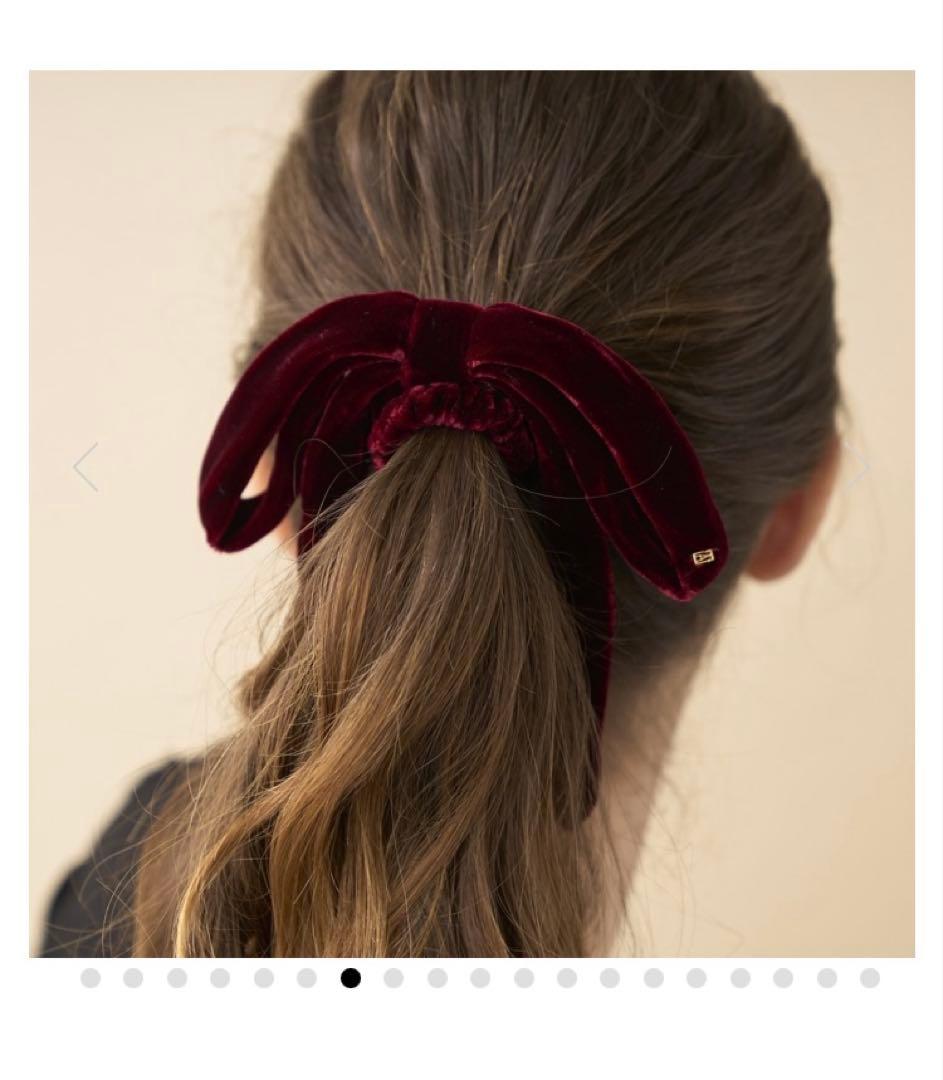 ALEXANDRE DE PARIS /アレクサンドル ドゥ パリ ベロアポニー