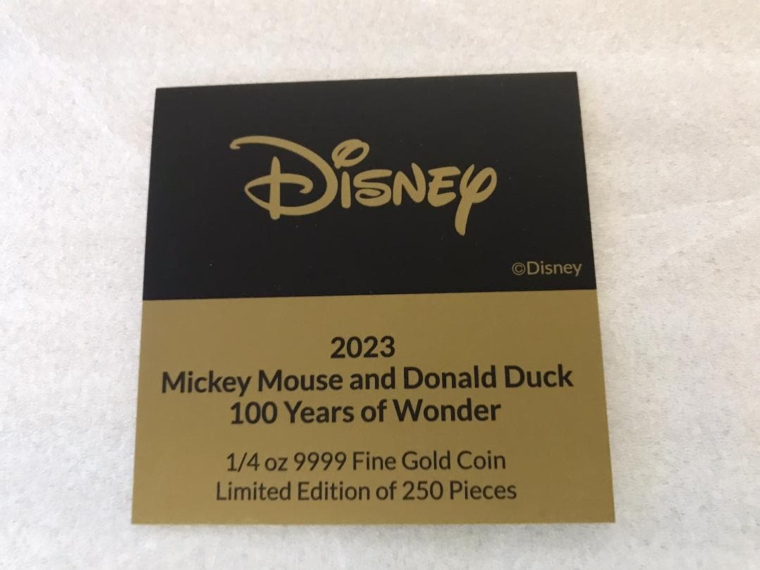 Disney ディズニー 100周年  世界限定250枚 レアアイテム