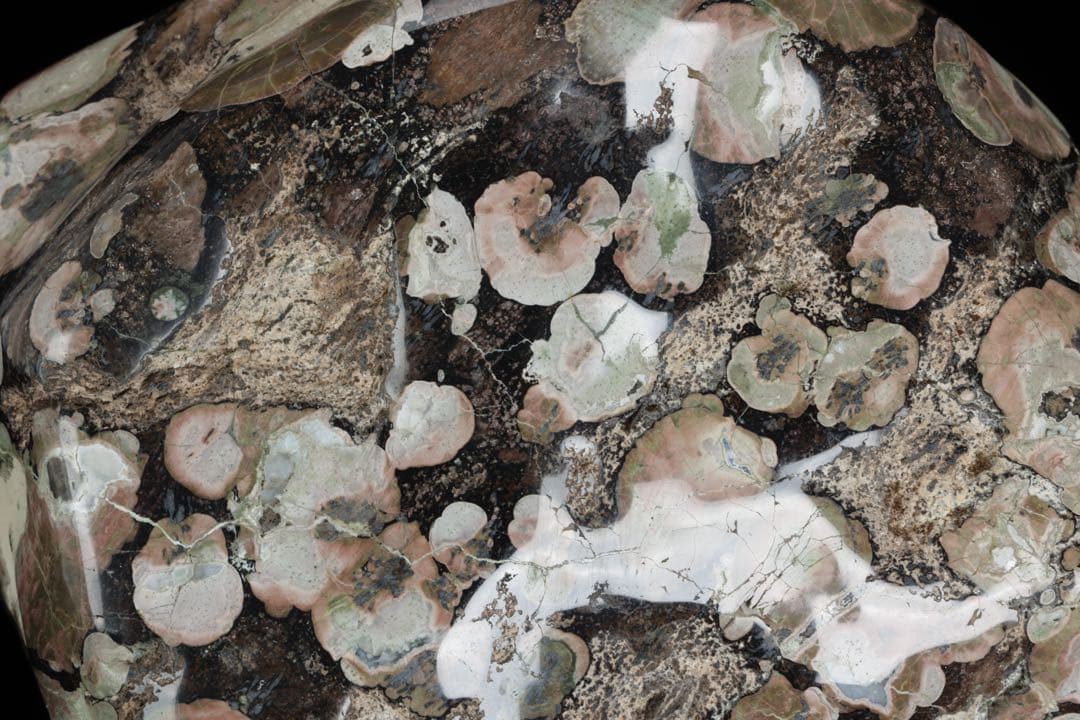 紅梅 梅花石 台付 12.1kg 鑑賞石 自然石 水石 原石 天然石 盆石 飾石