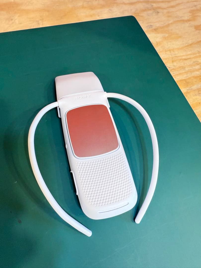 【美品】 SONY REON POCKET5 　専用ケース付き