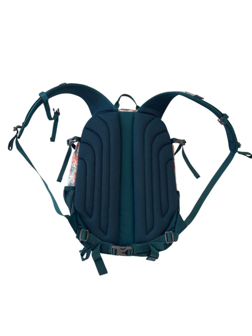 【極美品】 THE NORTH FACE リュック SINGLE SHOT