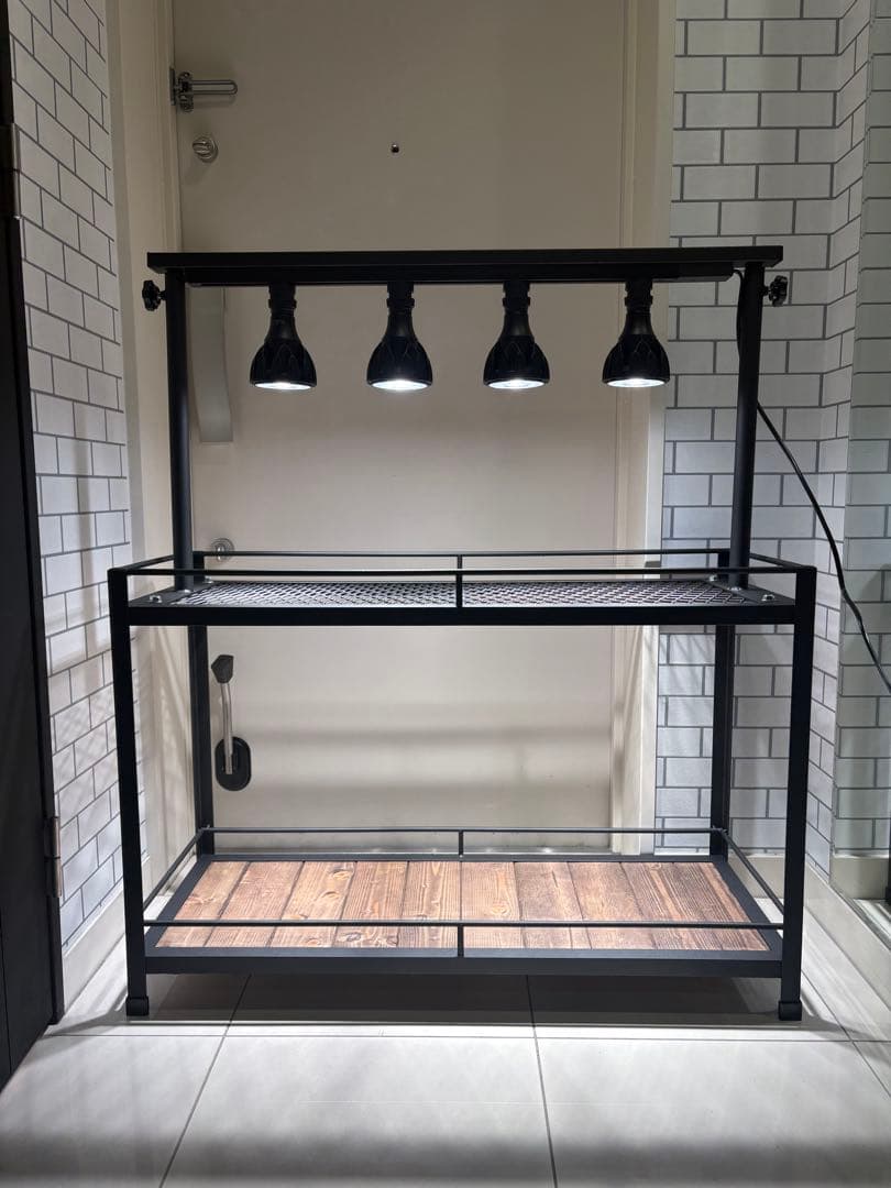 植物棚　アイアン棚　伸縮ライトレール　パキプス　アイアンシェルフ　アガベ