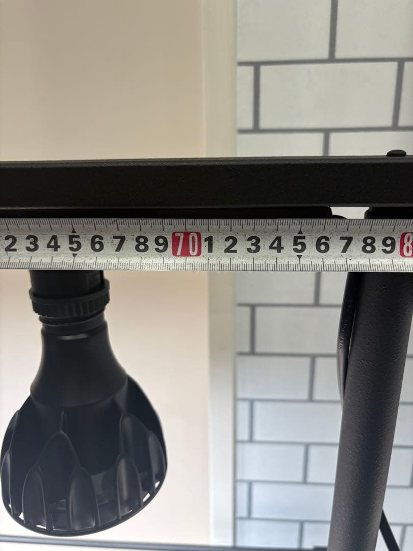 植物棚　アイアン棚　伸縮ライトレール　パキプス　アイアンシェルフ　アガベ