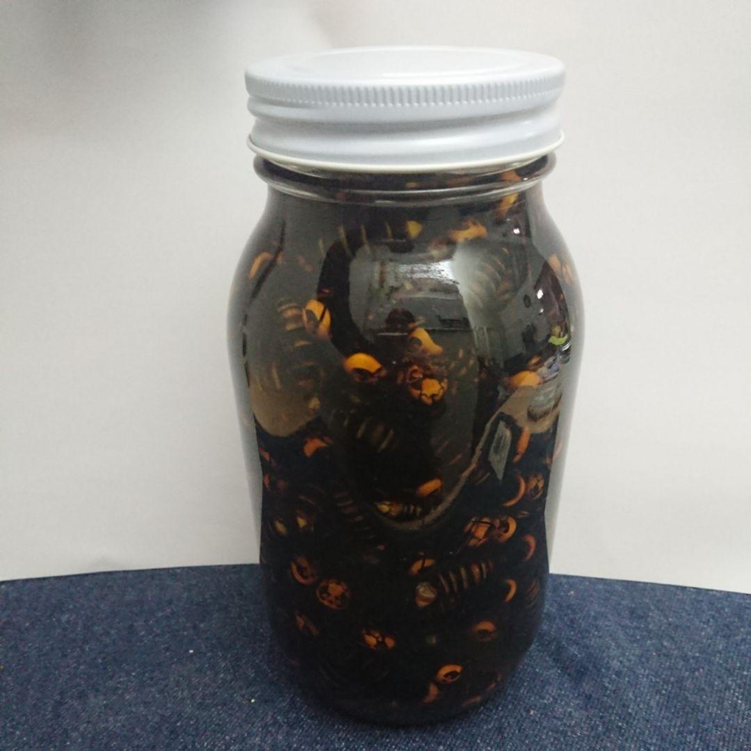 残り3本【150匹】オオスズメバチ焼酎