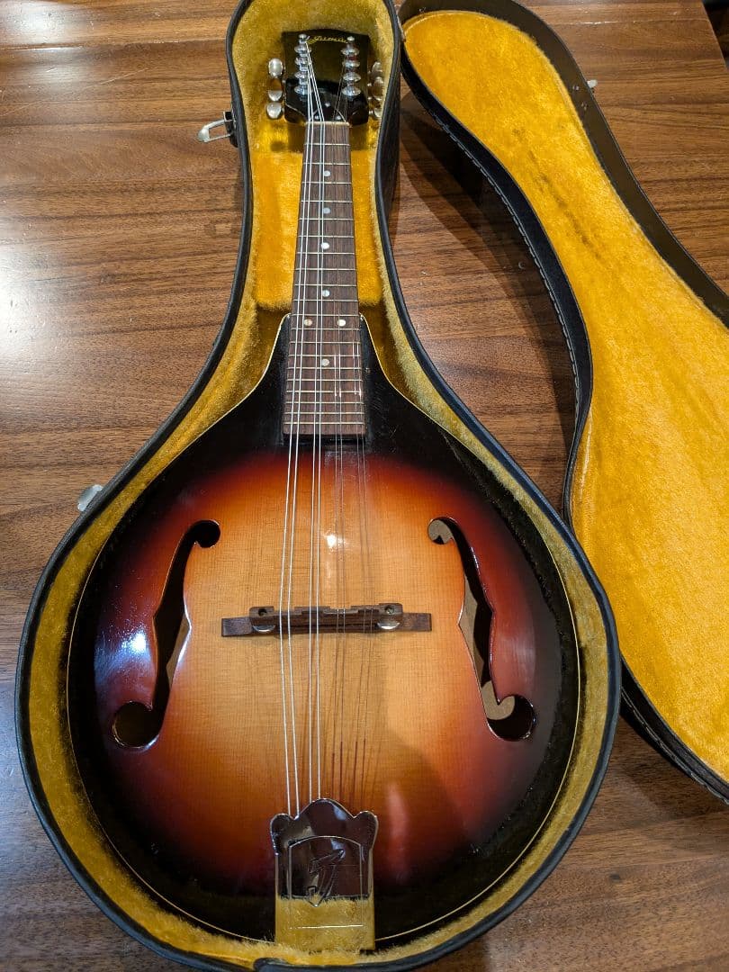 JUMBOマンドリン サンバースト ハードケース付き