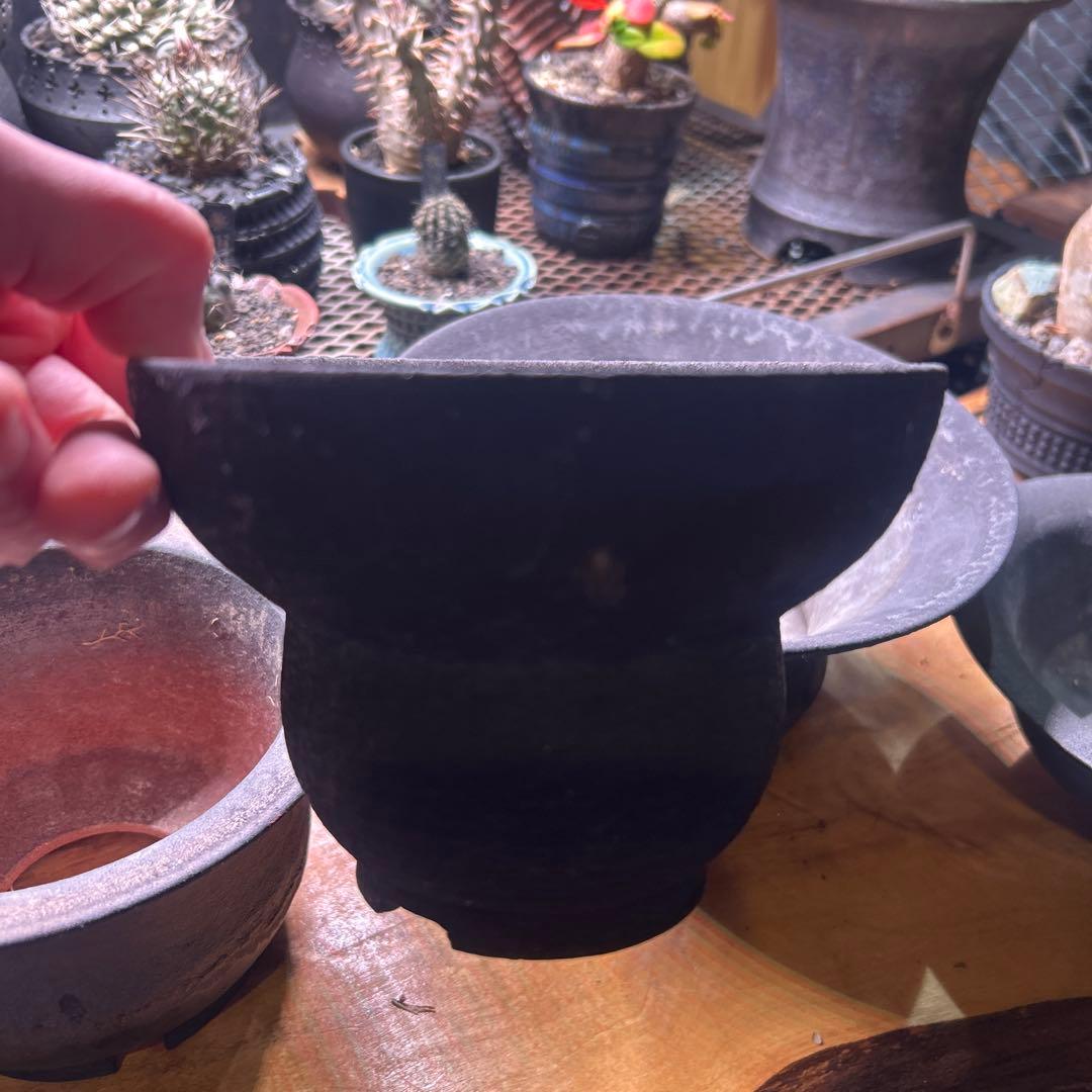 陶器鉢　5個セット