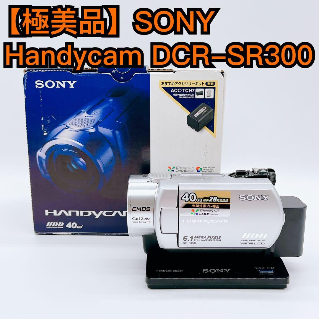 【極美品】SONY Handycam DCR-SR300 デジタルビデオカメラ