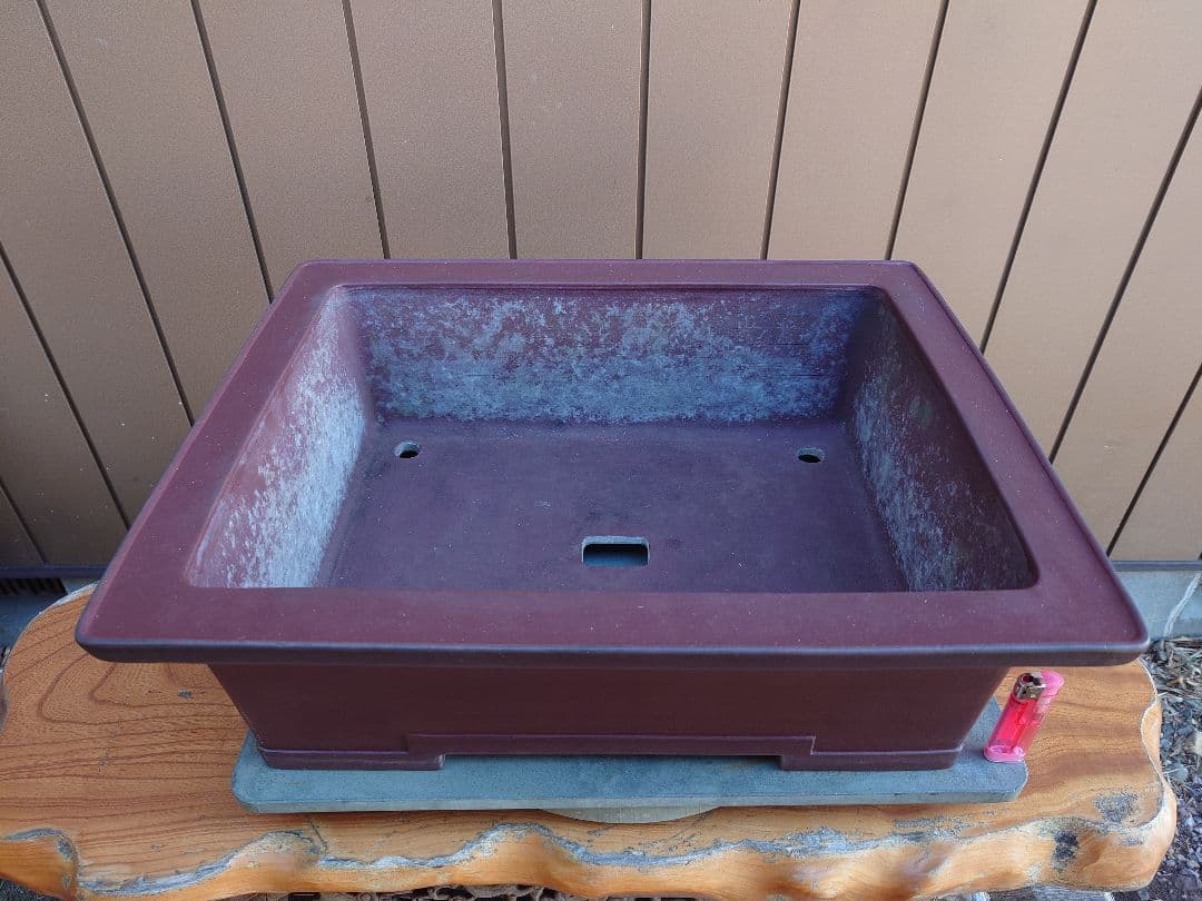 盆栽　鉢　佳山　幅52.3cm