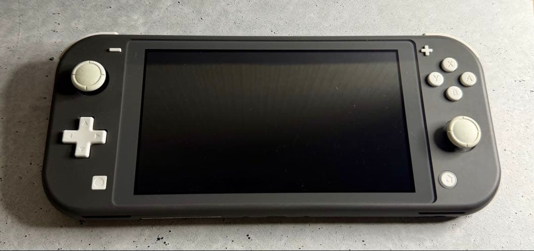 Nintendo Switch Lite グレー 本体 おまけケース付き