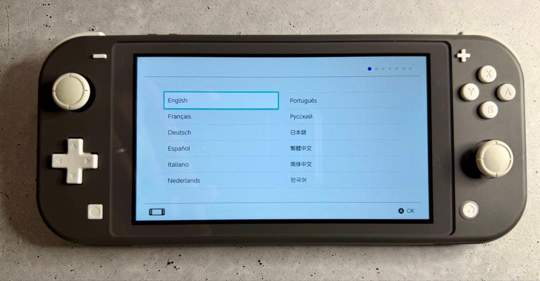 Nintendo Switch Lite グレー 本体 おまけケース付き