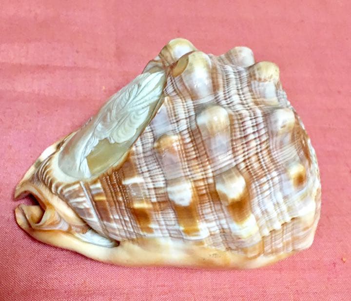 貴重❗️美品❗️カメオの置物