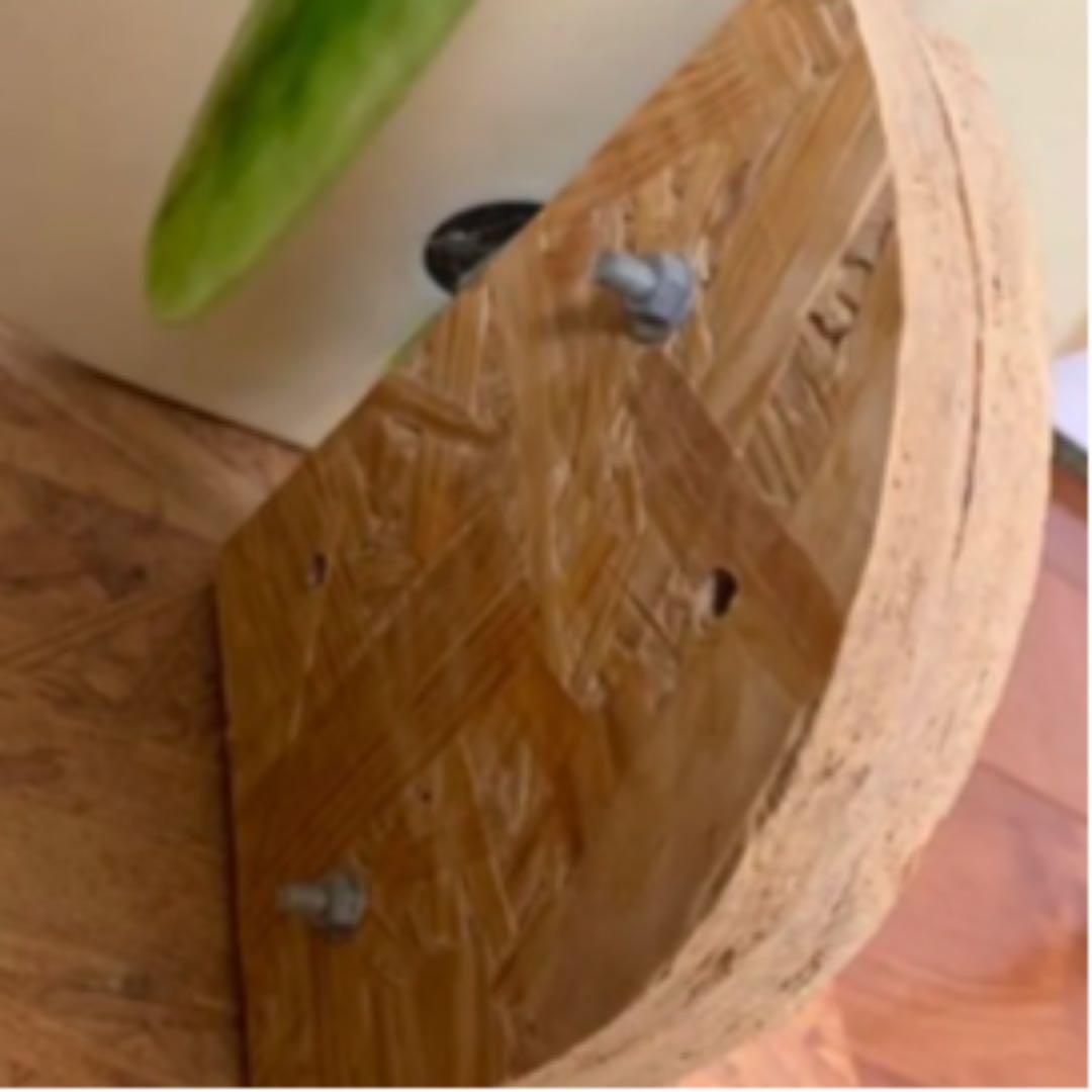 サーフボード インテリア