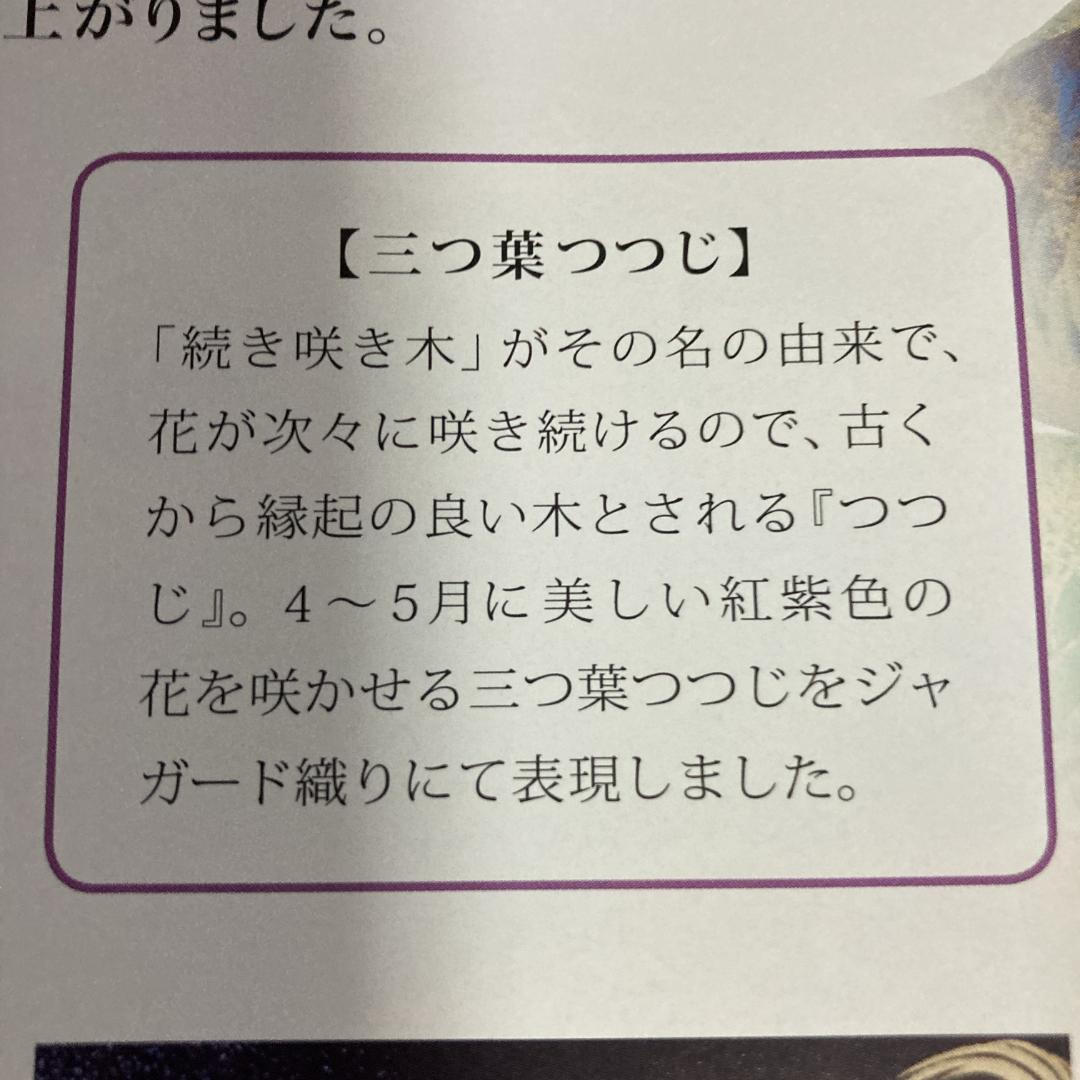SK124-2　福島積美鯉1.5m 　お母さん鯉1.5m　鯉のぼり赤鯉1.5m
