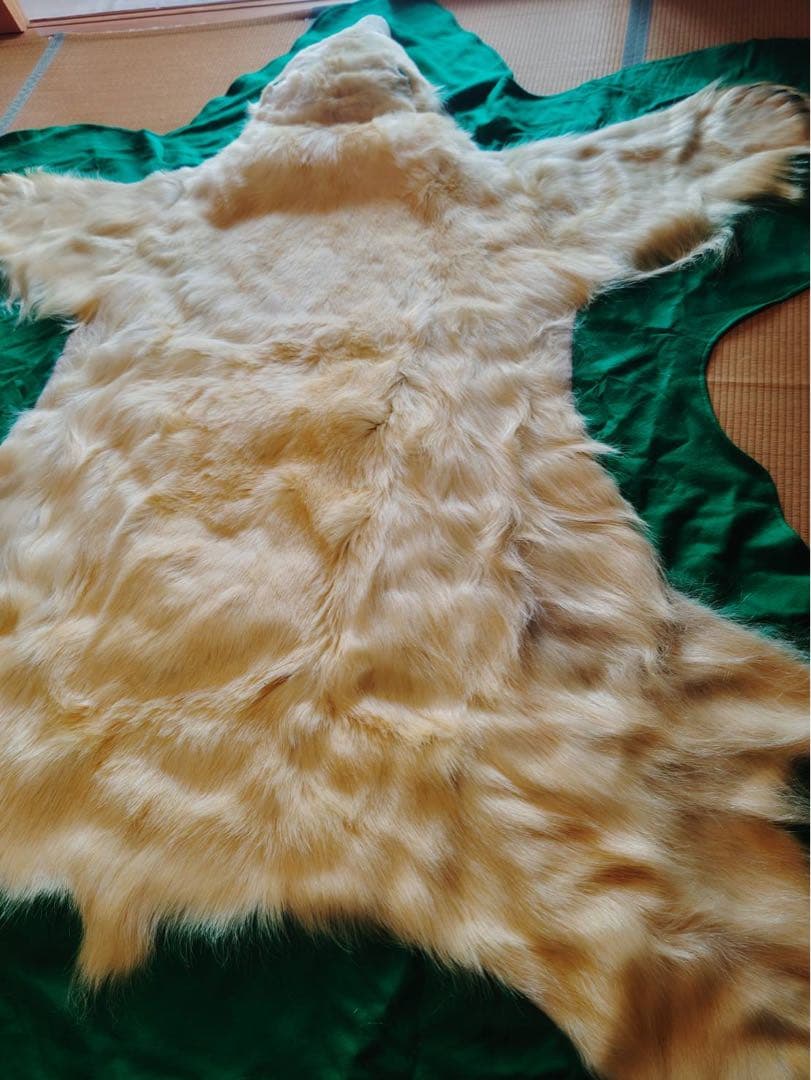 シロクマ　剥製カーペット