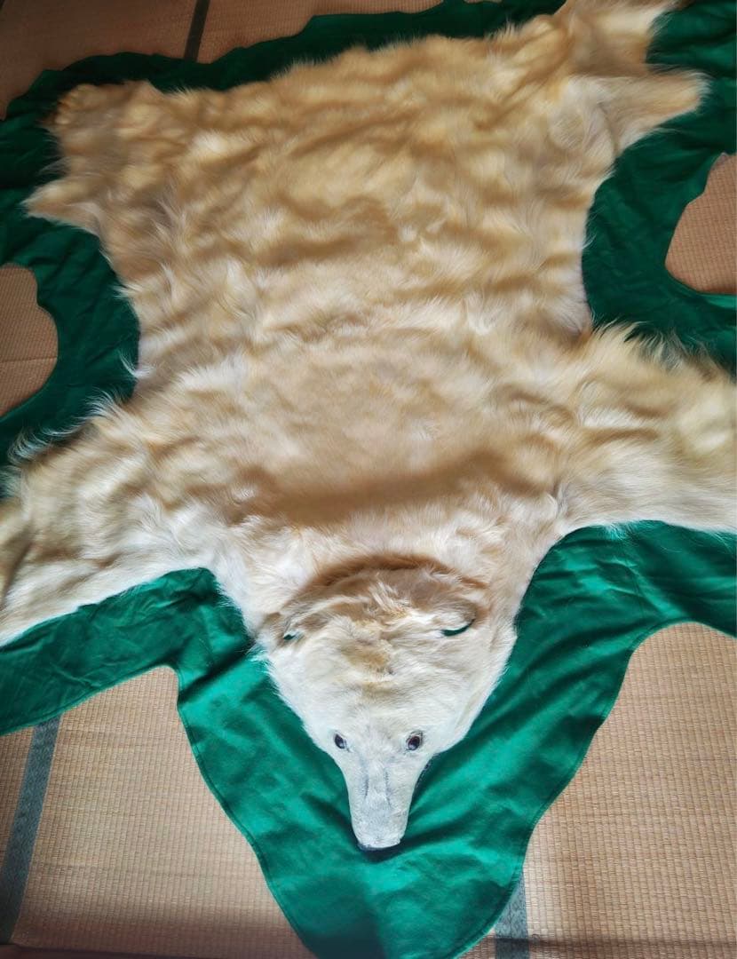 シロクマ　剥製カーペット