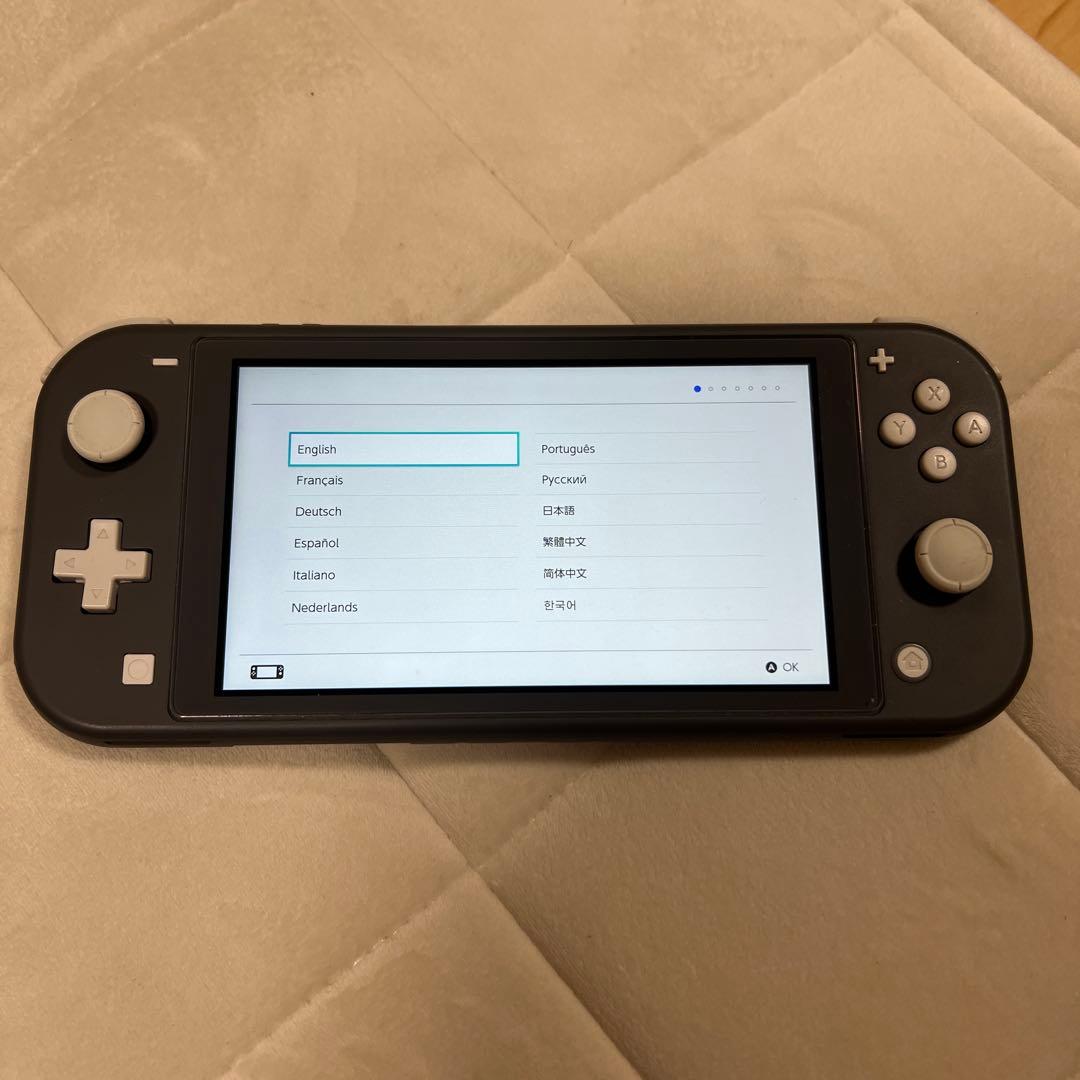 Nintendo Switchlight 本体のみ グレー