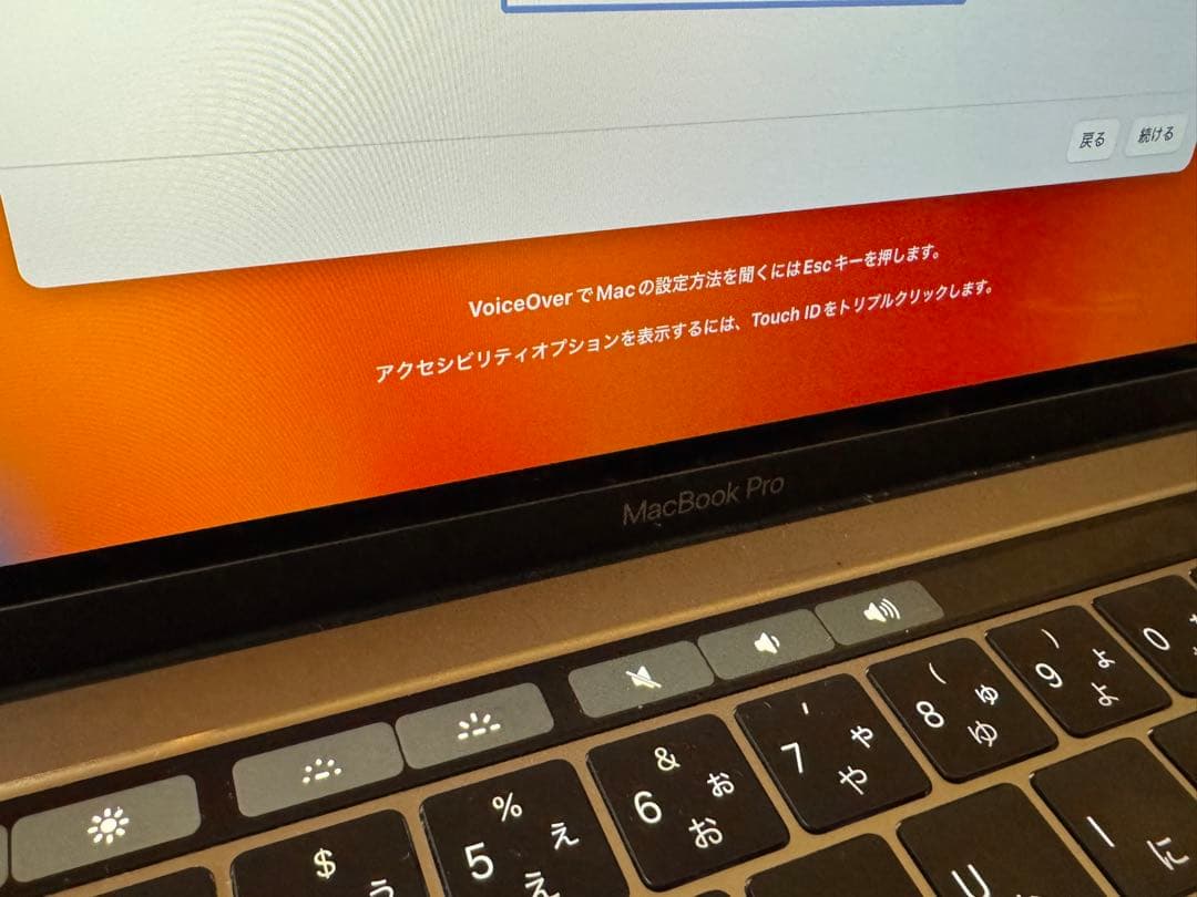 MacBook本体 MacBook Pro 13 (2017) Core i5/16GB/1TB