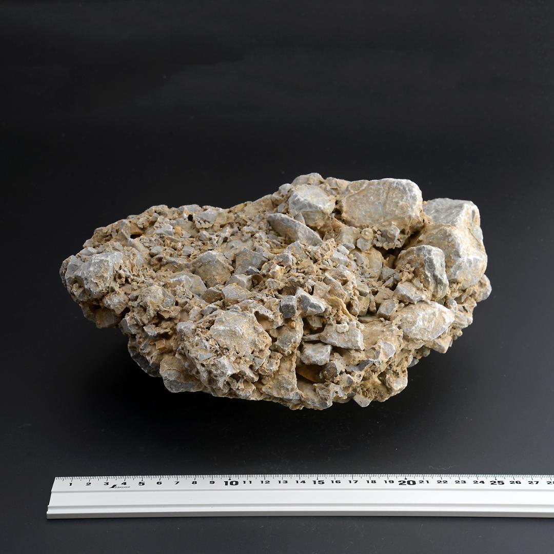 さざれ石（石灰質角礫岩 W27.5cm/D22.3cm/H11.8cm）095