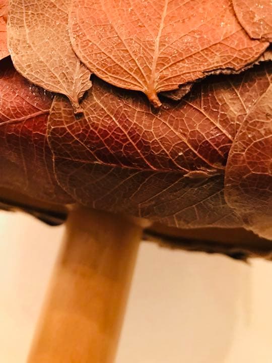 パリ前衛アート　プリザードリーフのボディー　トルソー　フランス製