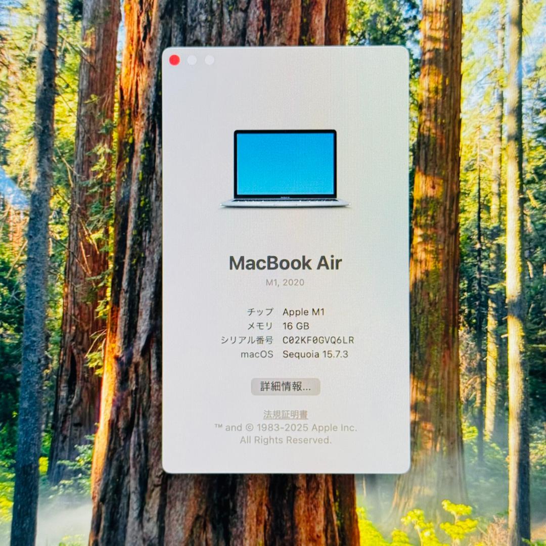 MacBook本体 P212 Apple MacBook Air M1 16GB 256GB