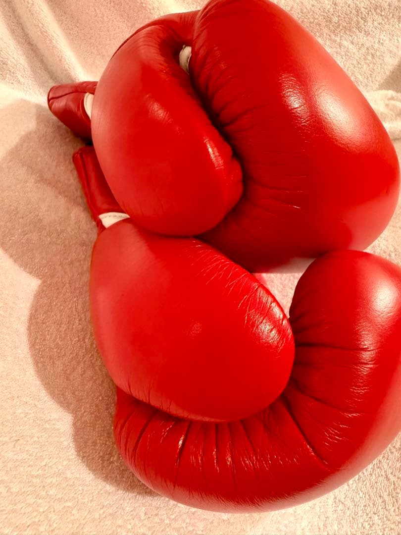 Winning ボクシンググローブ 8oz 赤　中古