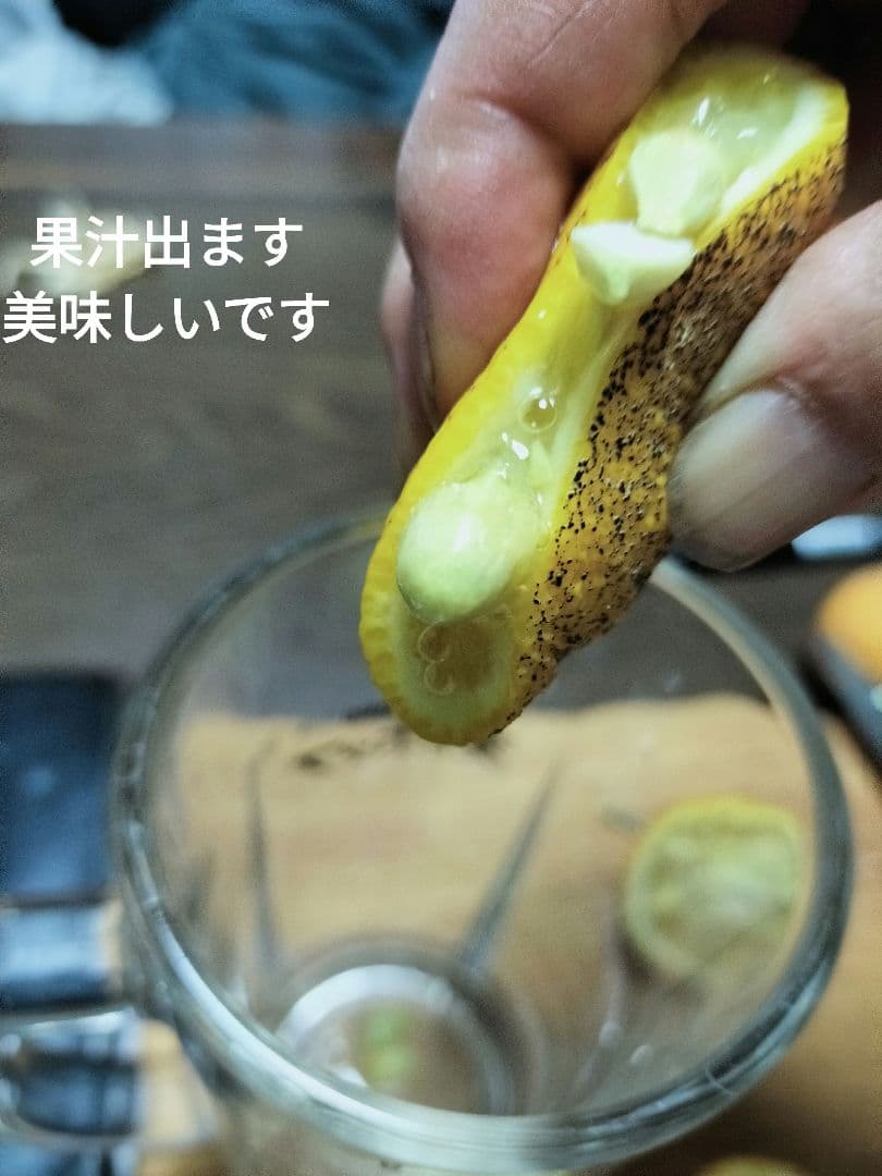 実生本柚子　10㌔　訳あり