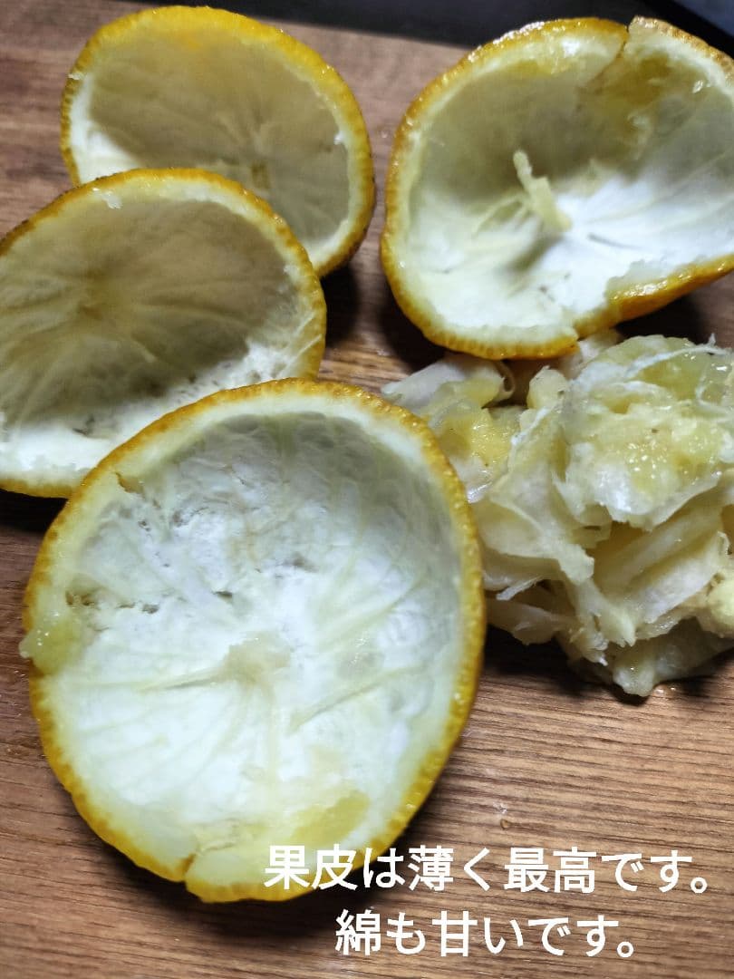 実生本柚子　10㌔　訳あり