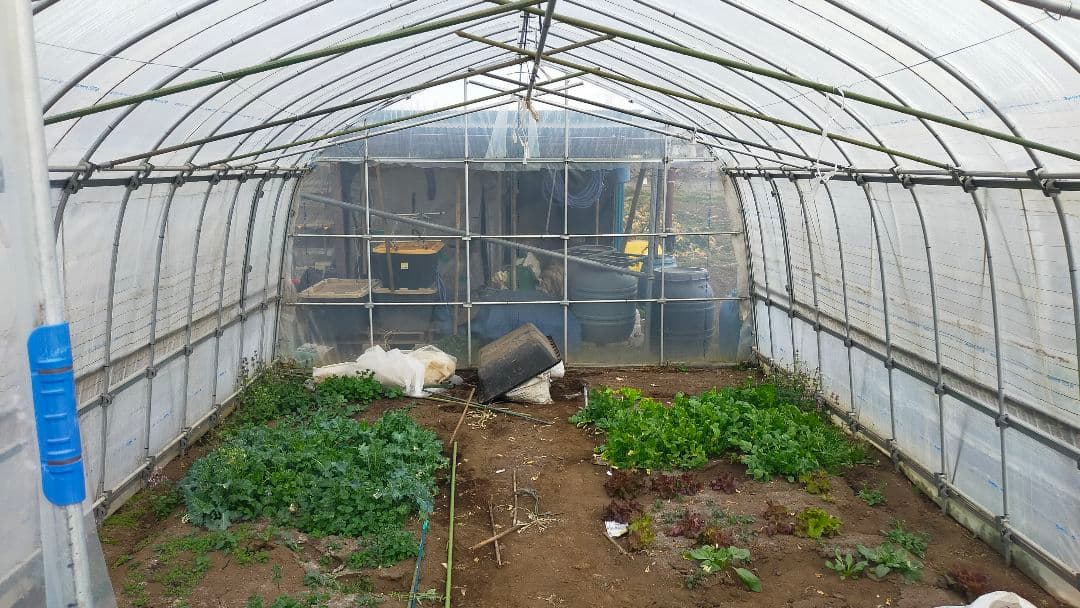 農業用ビニールハウス 3.6mx5.4m、両側巻上げ窓付き