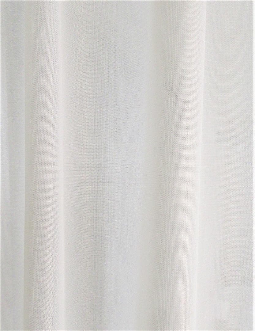 RUN★防炎 レース幅150cm×丈218cm(２枚入)(M127)が2組