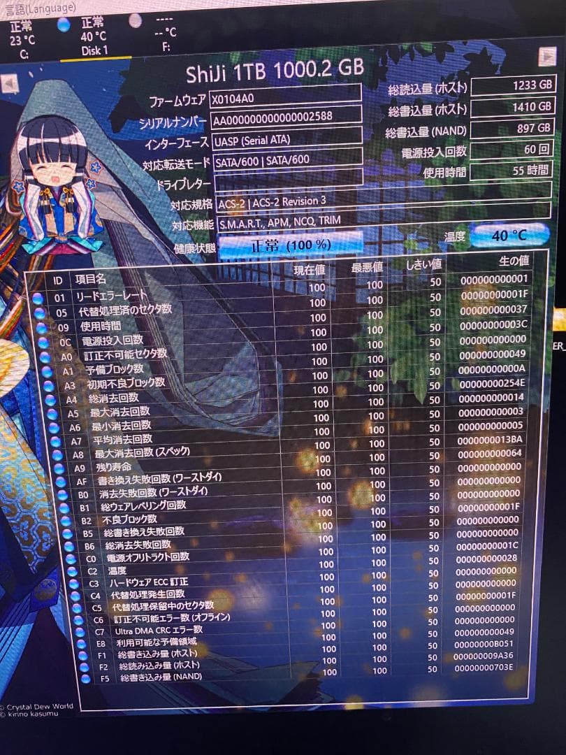 【中古】【使用時間短い】Shiji m2 2280 SSD 1TB SATA