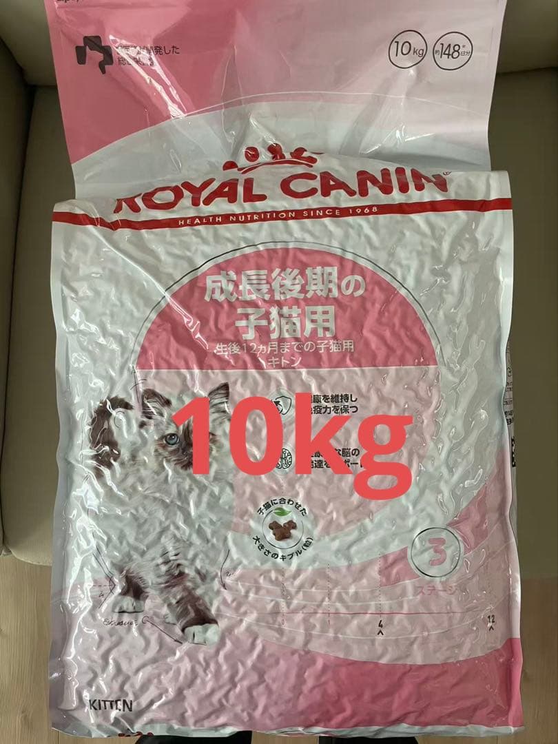 24時間以内発送　ロイヤルカナン　成長後期子猫用 ドライフード 10kg