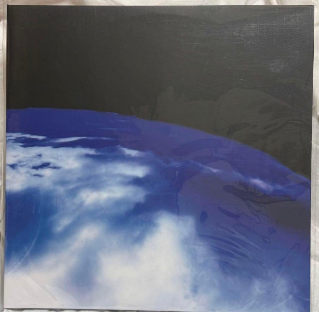 踊ってばかりの国『私は月には行かないだろう』レコード LP