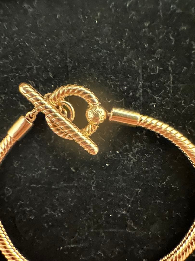 アクセサリー Pandora Moments T-Bar snake chain
