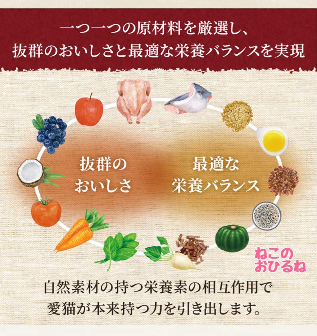 ニュートロ　シュプレモ　成猫用 チキン&サーモン/白身魚&チキン　3kg×２袋